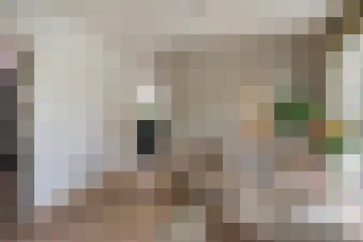 Nistelrodeseweg 65 Heesch thumbnail 17