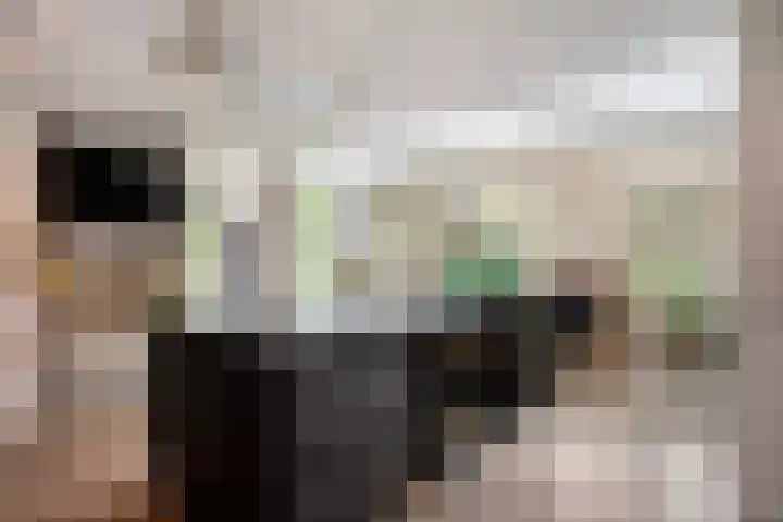 Nistelrodeseweg 65 Heesch thumbnail 18
