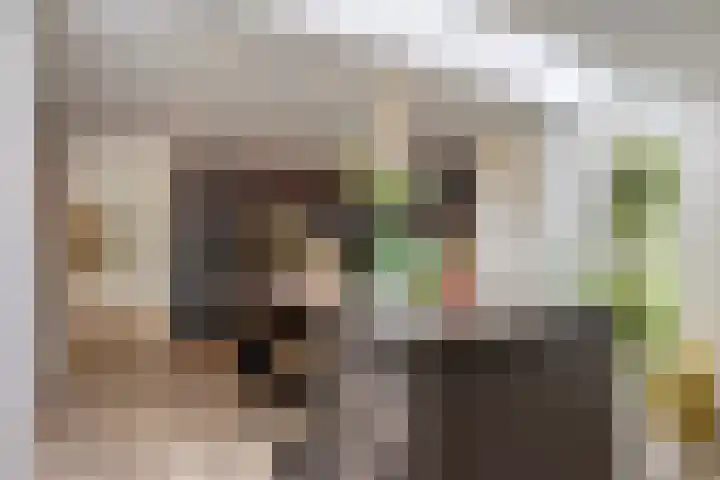 Nistelrodeseweg 65 Heesch thumbnail 19