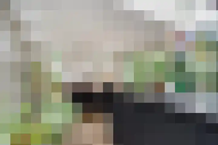 Nistelrodeseweg 65 Heesch thumbnail 22