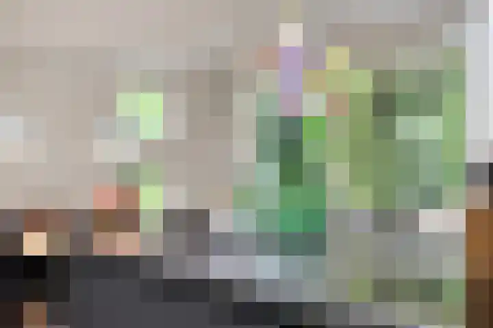 Nistelrodeseweg 65 Heesch thumbnail 23