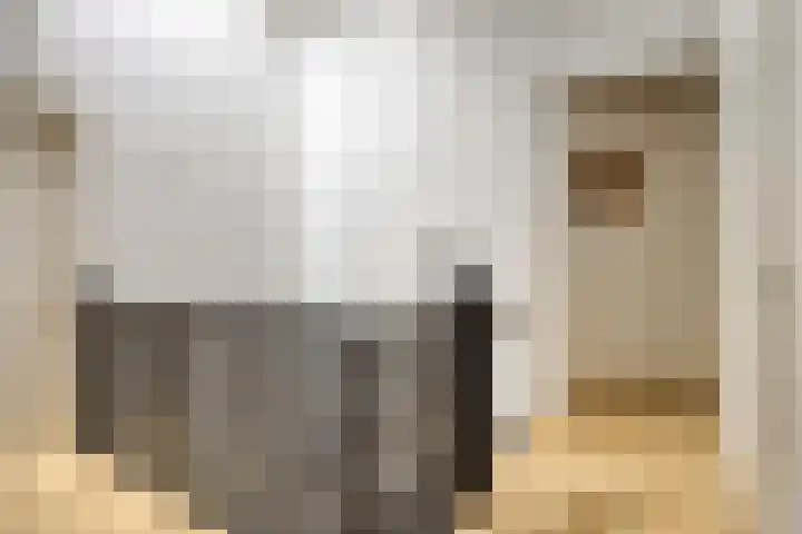 Nistelrodeseweg 65 Heesch thumbnail 25
