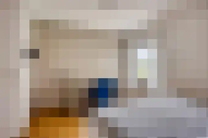 Nistelrodeseweg 65 Heesch thumbnail 33