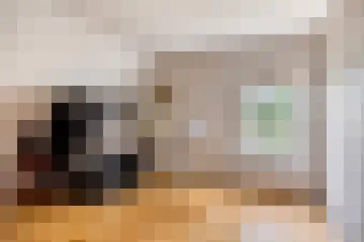 Nistelrodeseweg 65 Heesch thumbnail 34