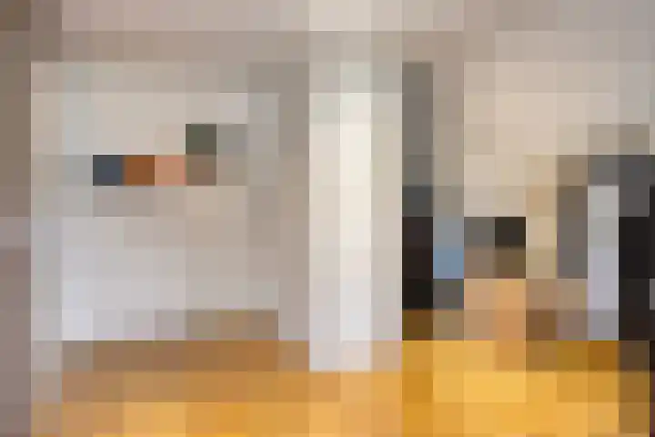 Nistelrodeseweg 65 Heesch thumbnail 35