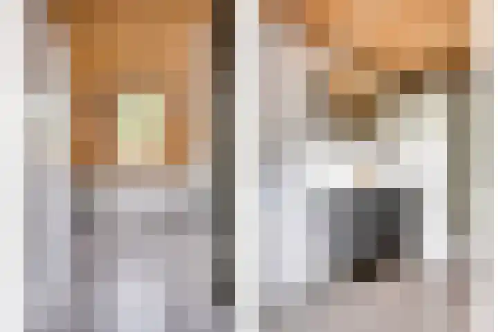 Nistelrodeseweg 65 Heesch thumbnail 36