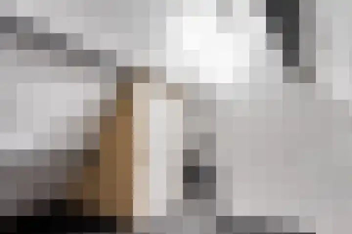 Nistelrodeseweg 65 Heesch thumbnail 40