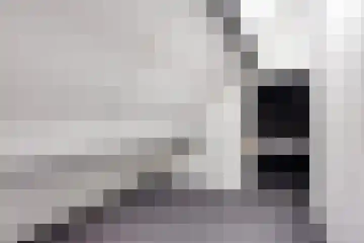 Nistelrodeseweg 65 Heesch thumbnail 41