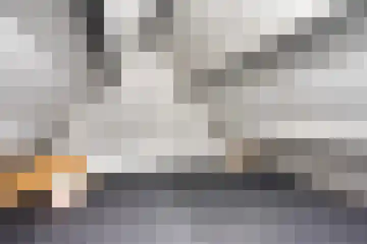 Nistelrodeseweg 65 Heesch thumbnail 42