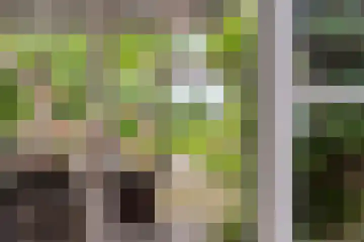 Nistelrodeseweg 65 Heesch thumbnail 43