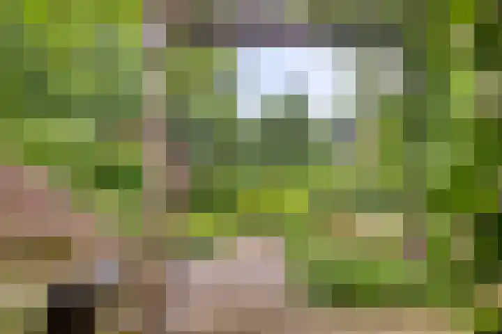 Nistelrodeseweg 65 Heesch thumbnail 44
