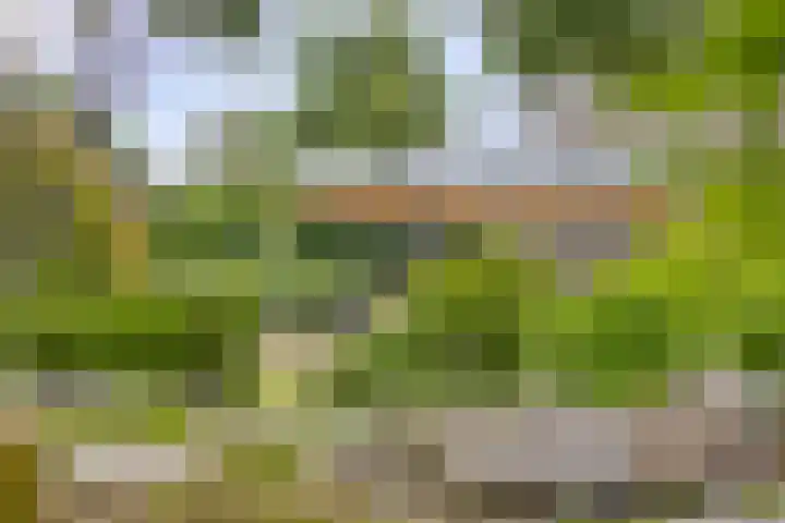 Nistelrodeseweg 65 Heesch thumbnail 46