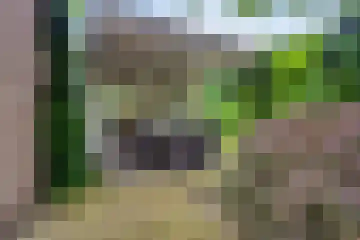 Nistelrodeseweg 65 Heesch thumbnail 47