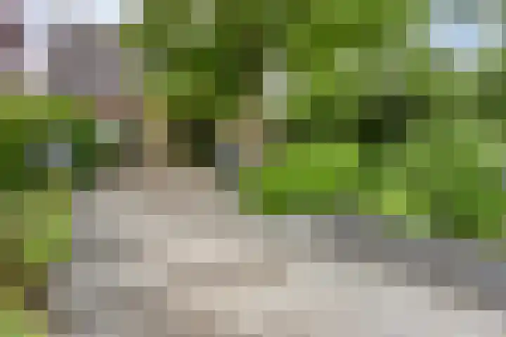 Nistelrodeseweg 65 Heesch thumbnail 49