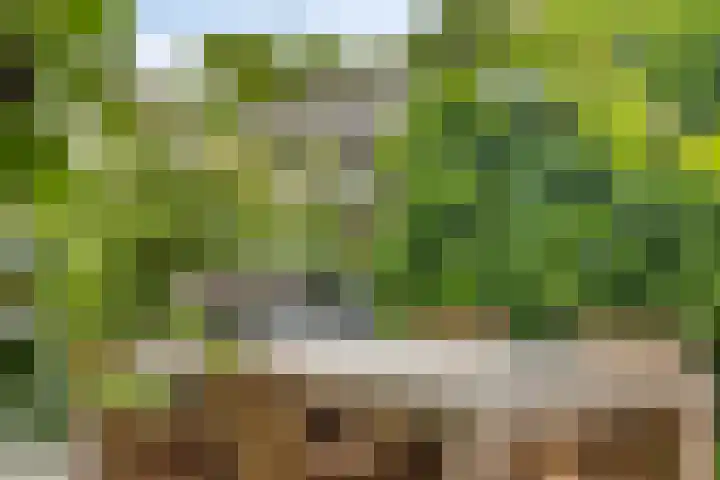 Nistelrodeseweg 65 Heesch thumbnail 50