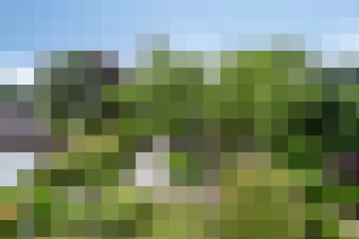 Nistelrodeseweg 65 Heesch thumbnail 53