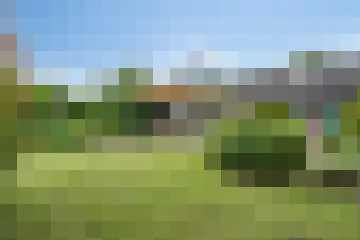 Nistelrodeseweg 65 Heesch thumbnail 54