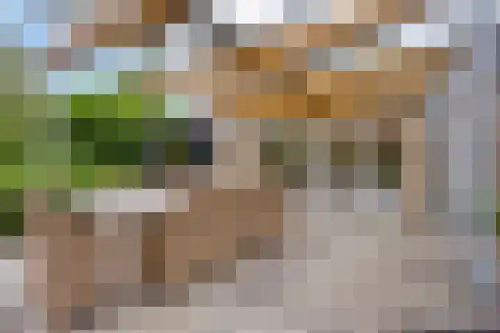 Nistelrodeseweg 65 Heesch thumbnail 55