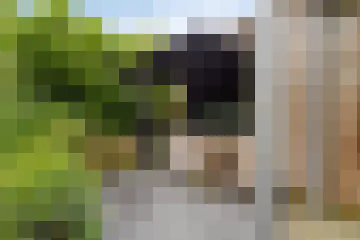 Nistelrodeseweg 65 Heesch thumbnail 56