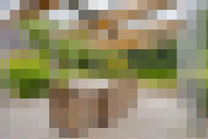Nistelrodeseweg 65 Heesch thumbnail 57