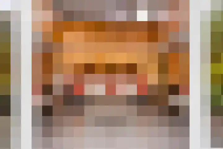 Nistelrodeseweg 65 Heesch thumbnail 58