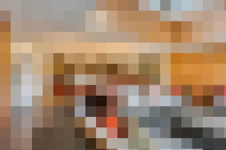 Nistelrodeseweg 65 Heesch thumbnail 6