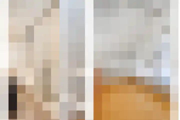 Nistelrodeseweg 65 Heesch thumbnail 65