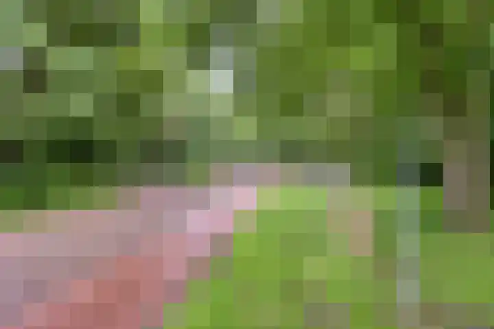 Nistelrodeseweg 65 Heesch thumbnail 73