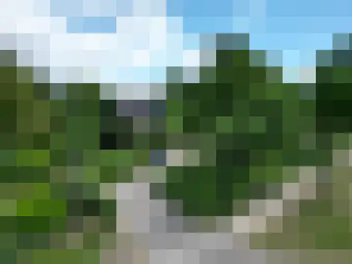 Nistelrodeseweg 65 Heesch thumbnail 75