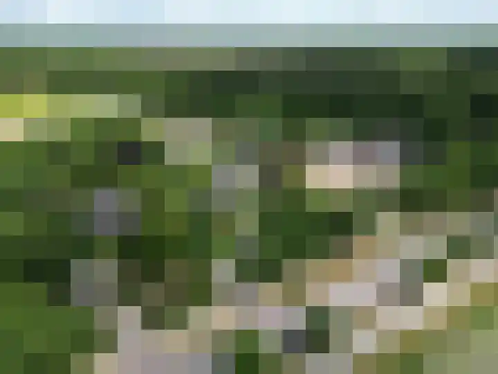 Nistelrodeseweg 65 Heesch thumbnail 76