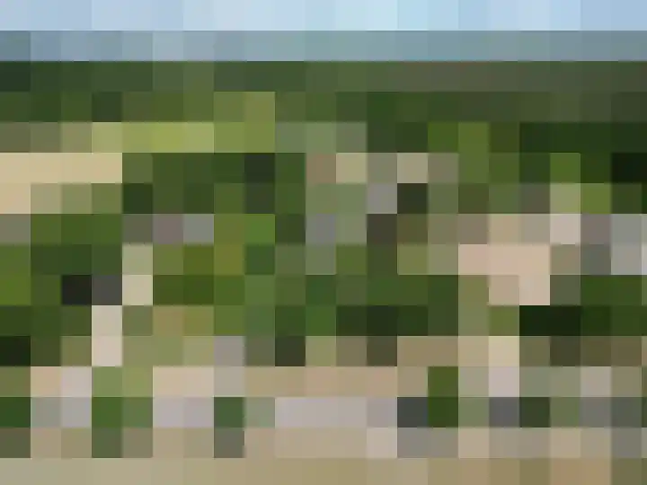 Nistelrodeseweg 65 Heesch thumbnail 77