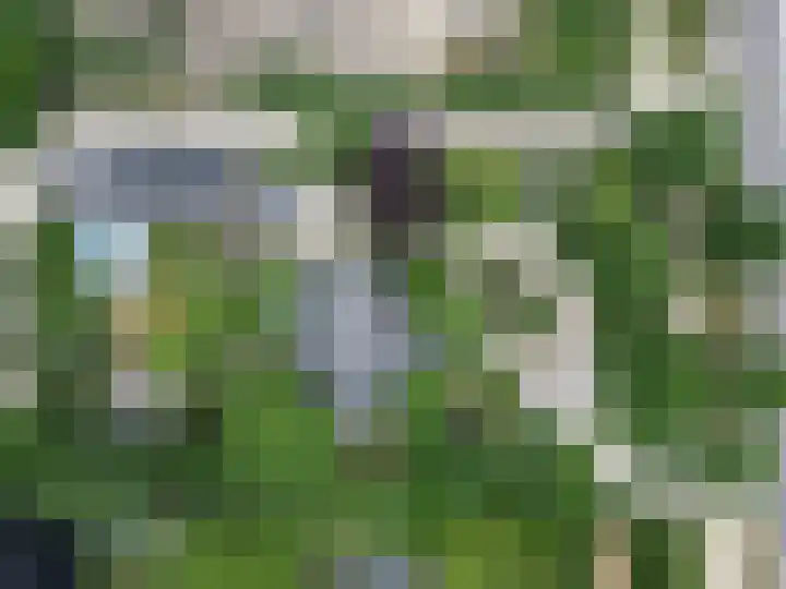 Nistelrodeseweg 65 Heesch thumbnail 78