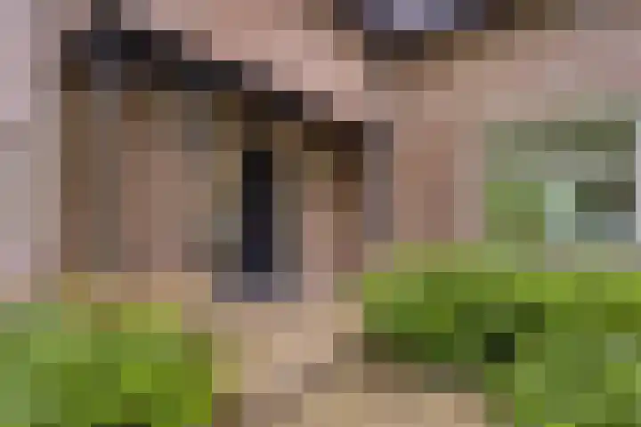 Nistelrodeseweg 65 Heesch thumbnail 8