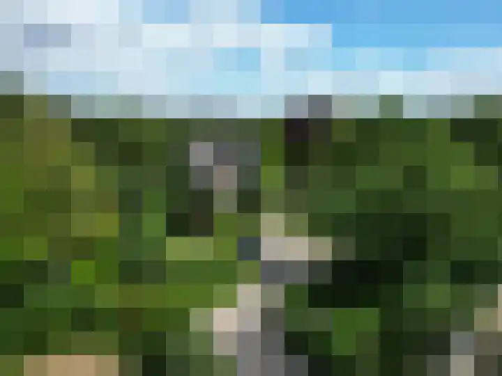 Nistelrodeseweg 65 Heesch thumbnail 80