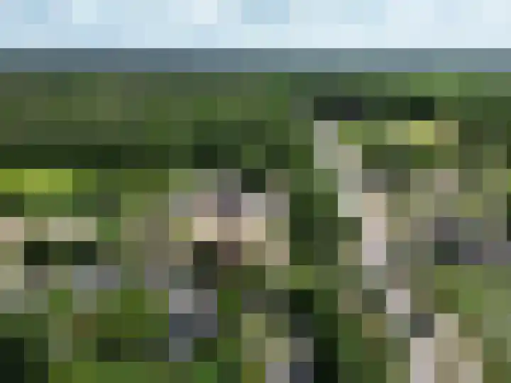 Nistelrodeseweg 65 Heesch thumbnail 81