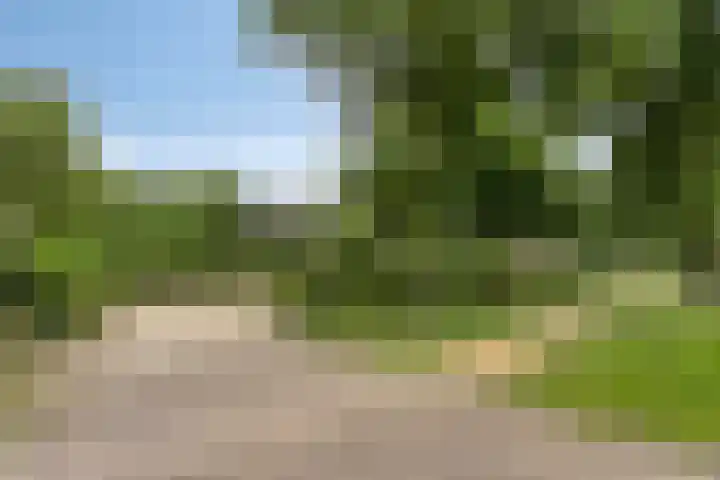 Nistelrodeseweg 65 Heesch thumbnail 83