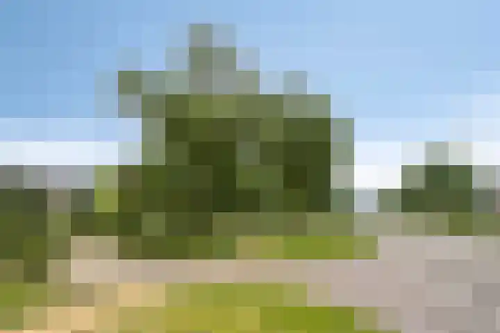 Nistelrodeseweg 65 Heesch thumbnail 84
