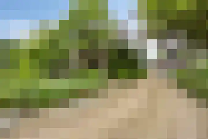 Nistelrodeseweg 65 Heesch thumbnail 85