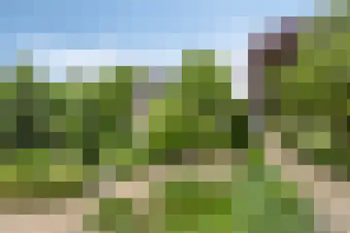 Nistelrodeseweg 65 Heesch thumbnail 86