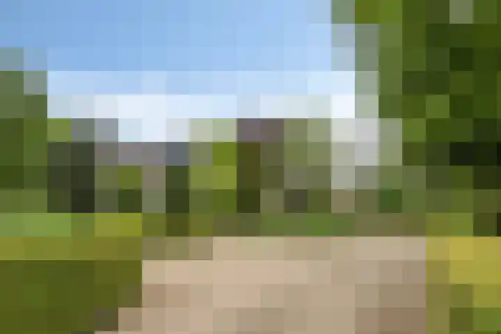 Nistelrodeseweg 65 Heesch thumbnail 87