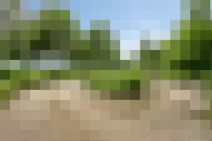 Nistelrodeseweg 65 Heesch thumbnail 88
