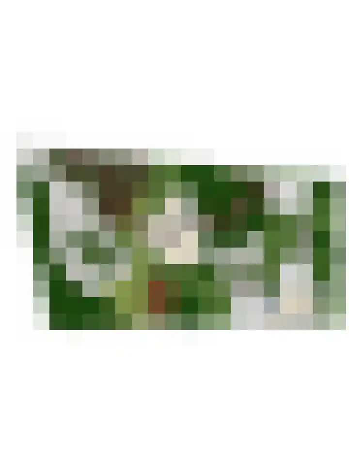 Nistelrodeseweg 65 Heesch thumbnail 89