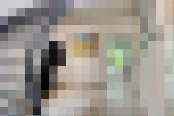 Nistelrodeseweg 65 Heesch thumbnail 9