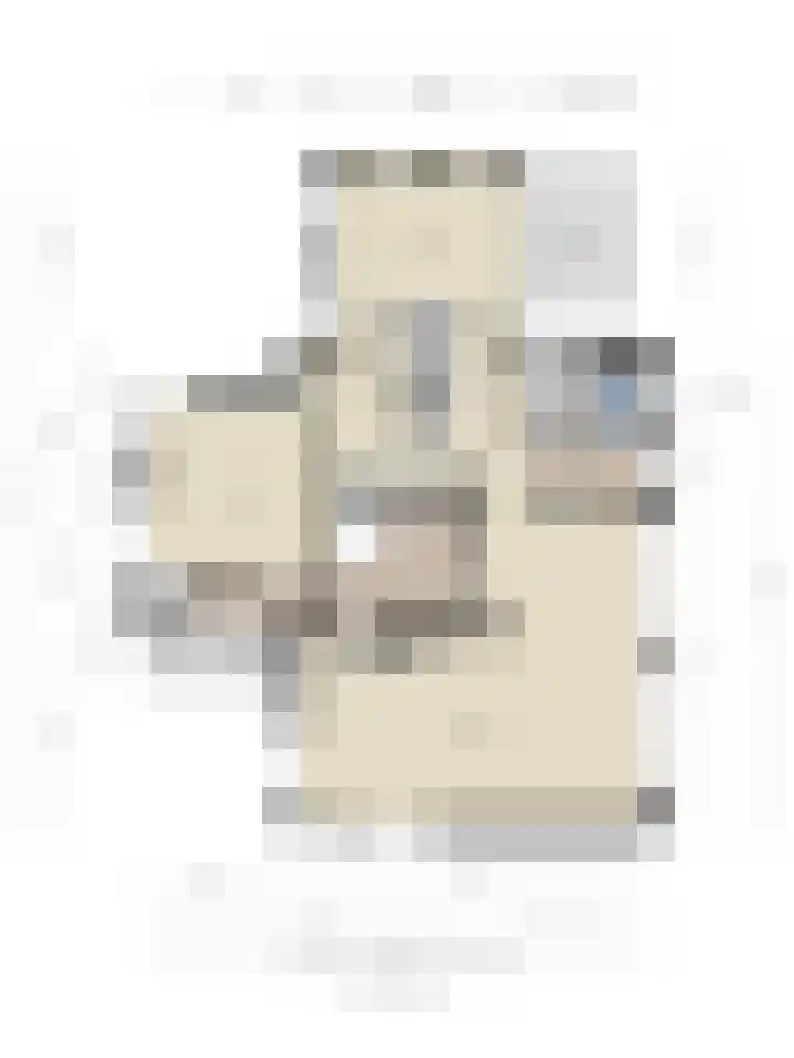 Nistelrodeseweg 65 Heesch thumbnail 91