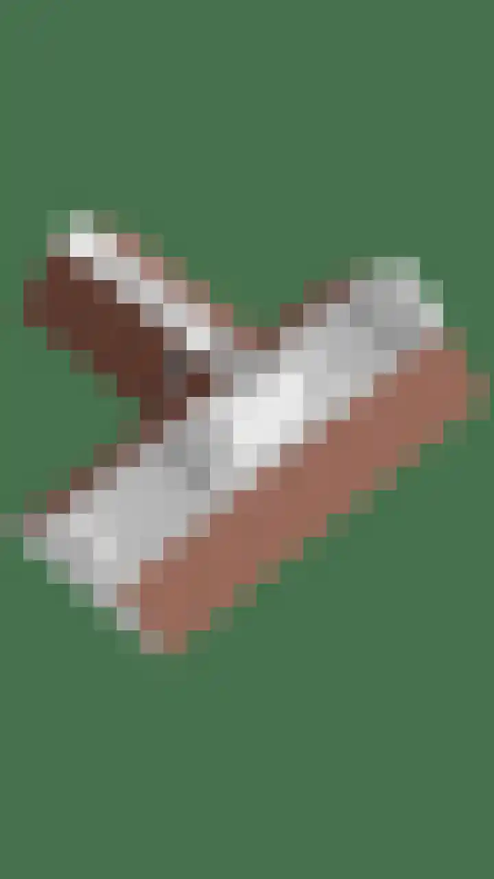 Nistelrodeseweg 65 Heesch thumbnail 96