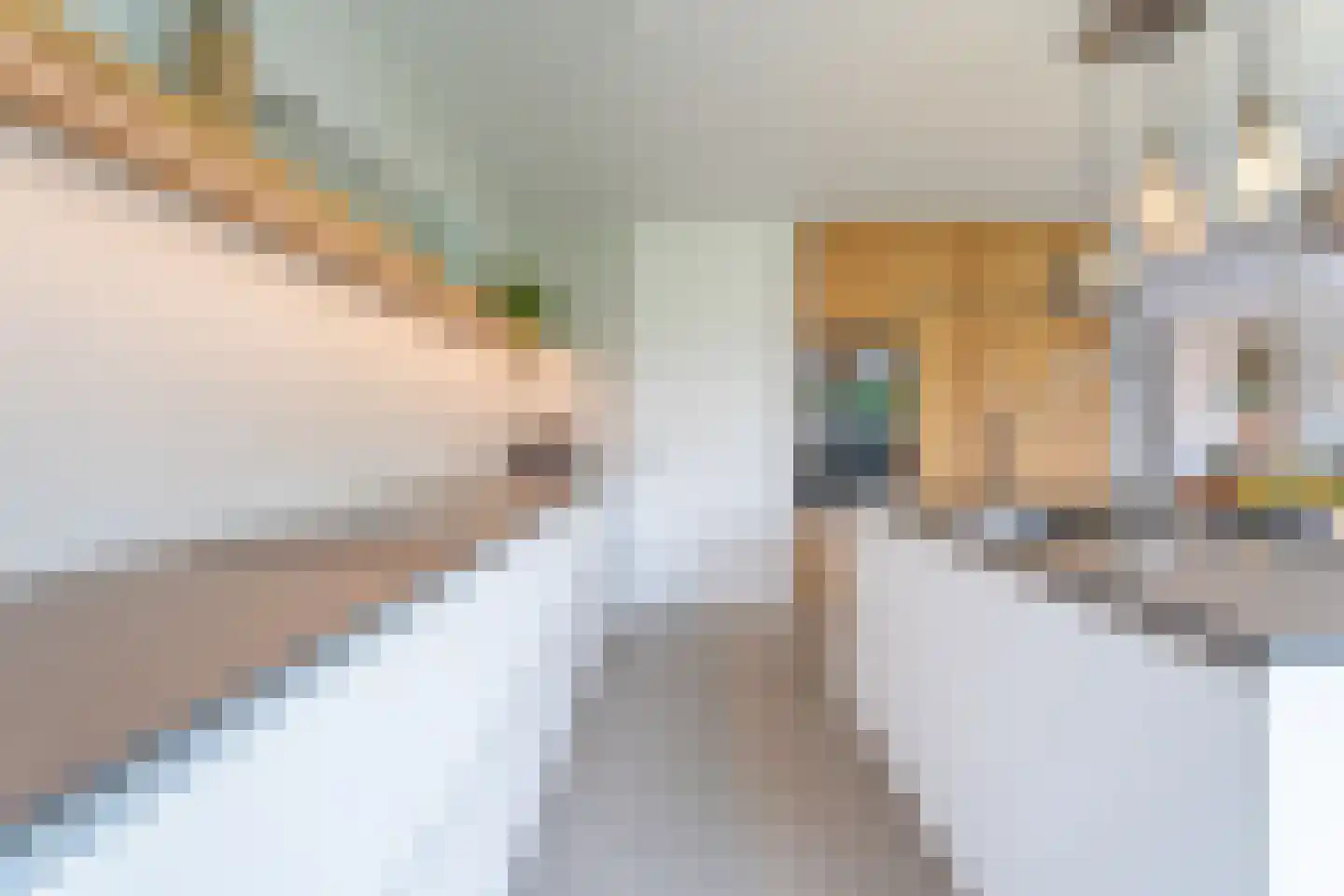Nistelrodestraat 36 Tilburg thumbnail 13