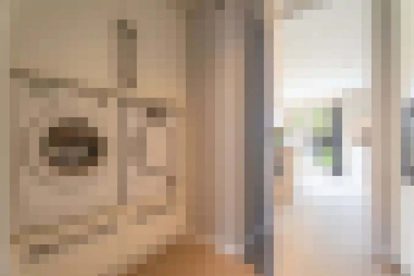 Nistelrodestraat 36 Tilburg thumbnail 18
