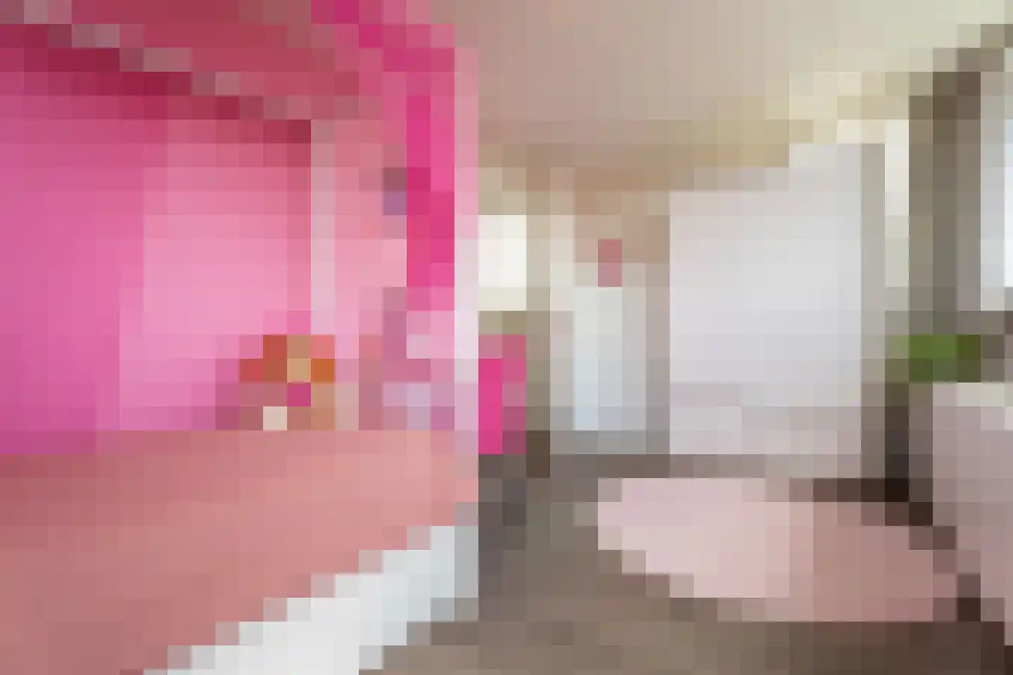 Nistelrodestraat 36 Tilburg thumbnail 38