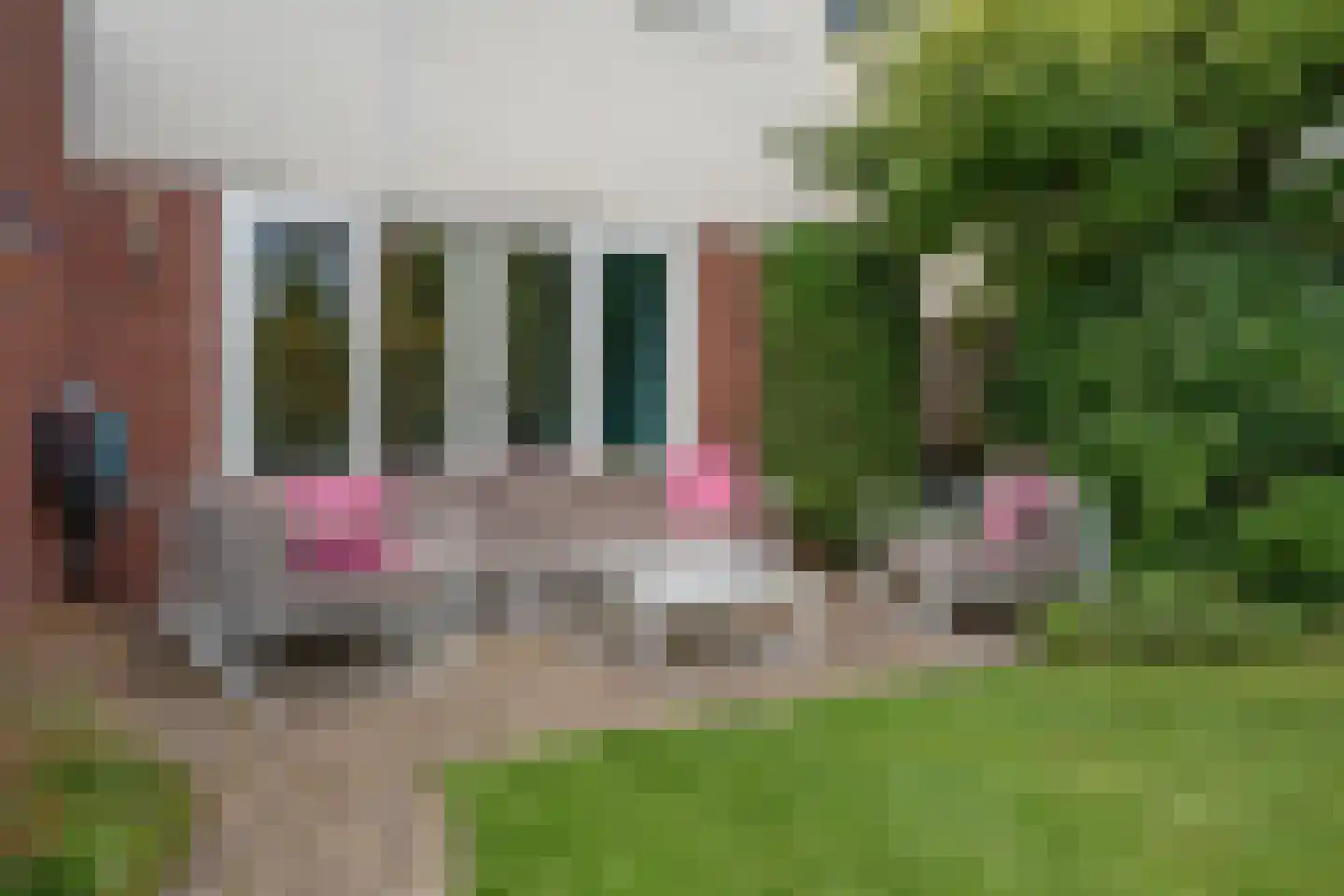 Nistelrodestraat 36 Tilburg thumbnail 40