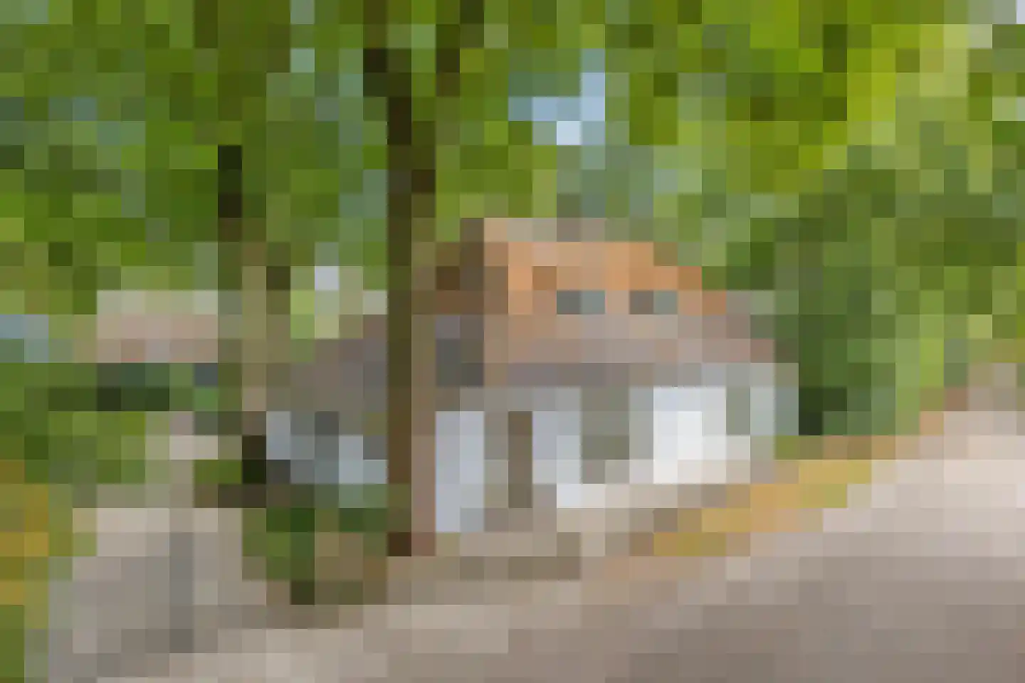 Nistelrooise Baan 8 in Schaijk